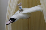 Load image into Gallery viewer, Flying Swan Mobile with Maileg Prince Mouse. - Jacob&#39;s Montessori
